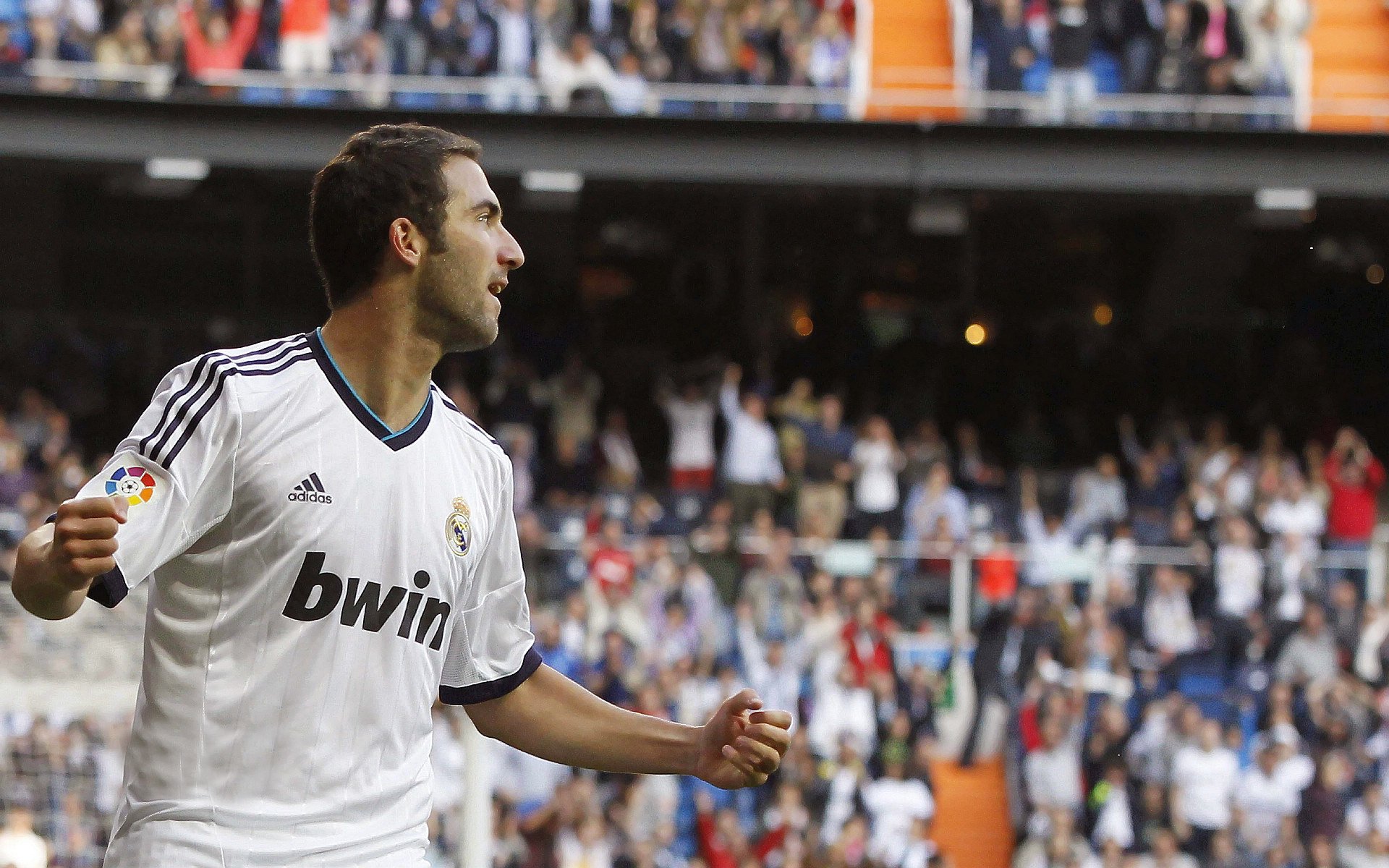 勒沃库森签下荷兰射手，德甲劲旅加强，勒沃库森球队